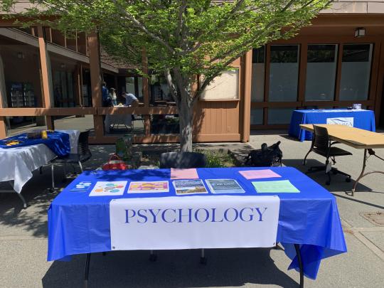 Psychology table covered in flyers